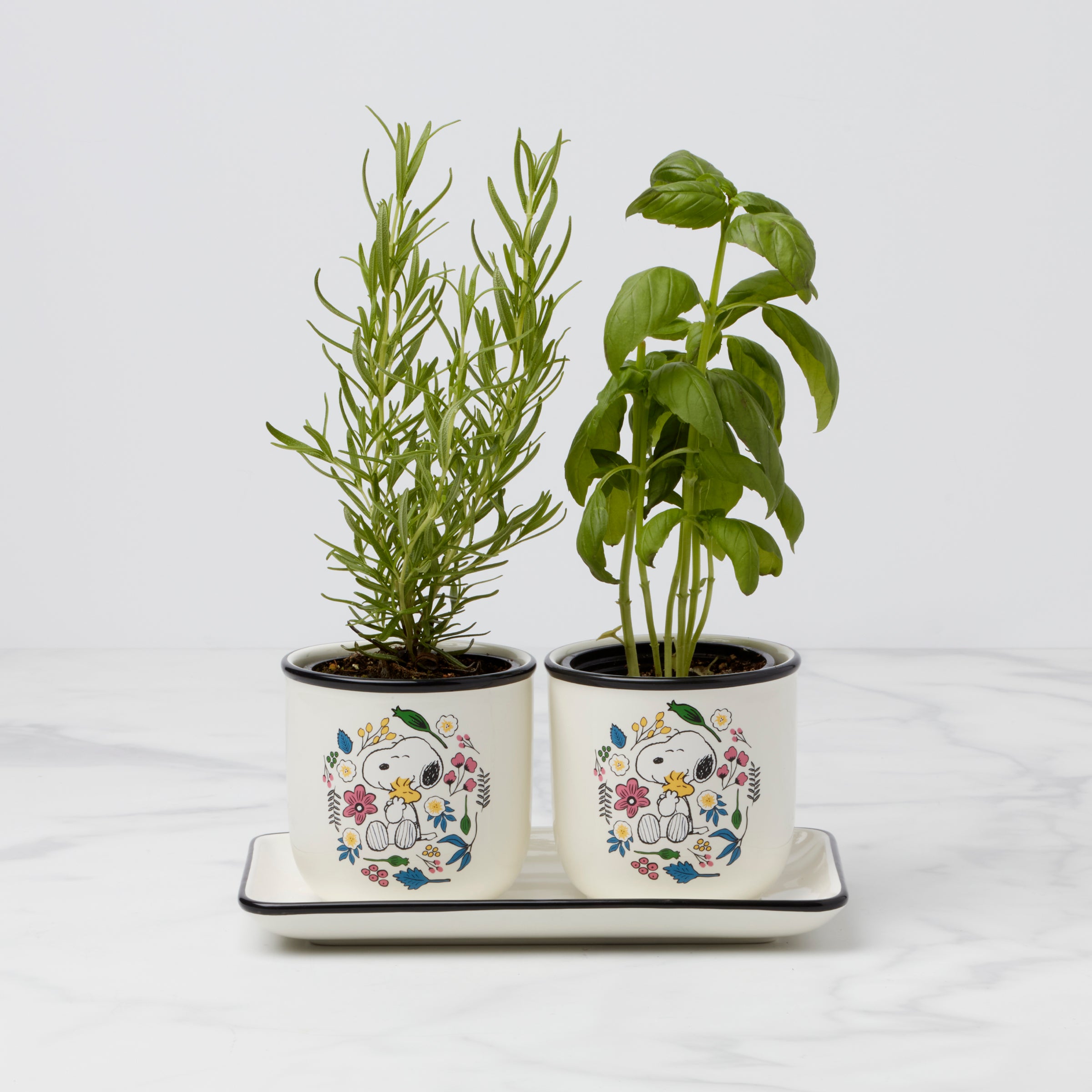 Chef Snoopy Herb Pots, Set Of 3 - Image 3